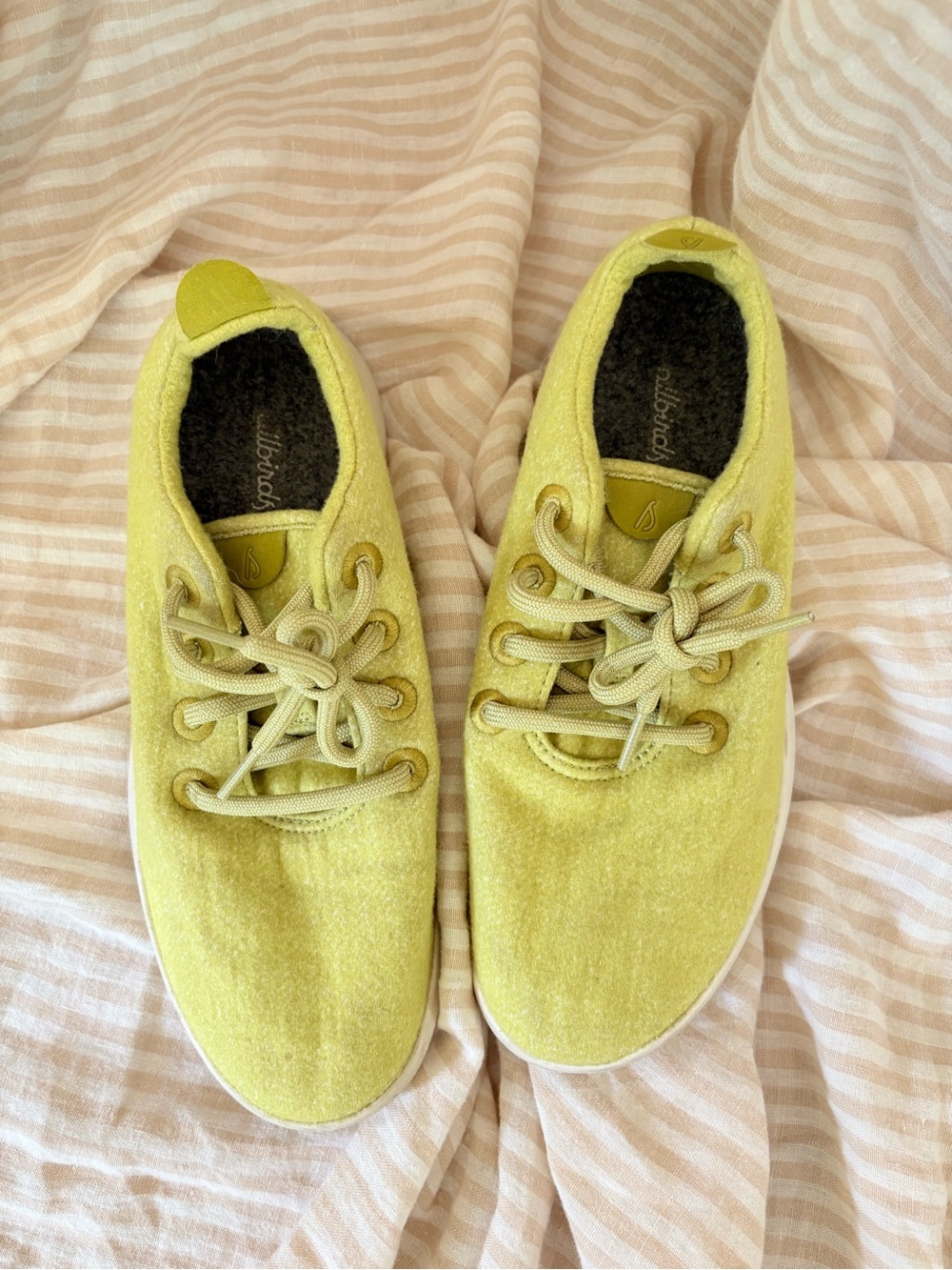 allbirds Men's Yellow Green Wool Sneakers